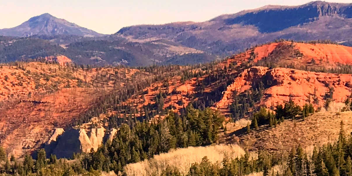 Adventure Therapy for Young Adults